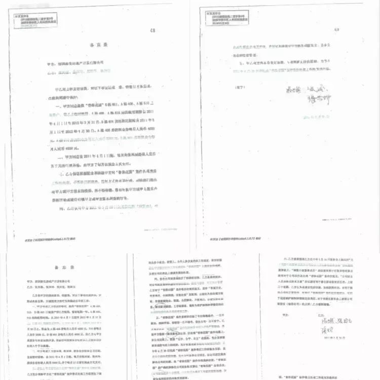 1695630562102291.jpg 10.jpg